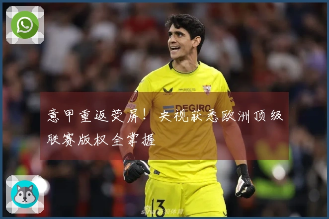 意甲重返荧屏！央视获悉欧洲顶级联赛版权全掌握